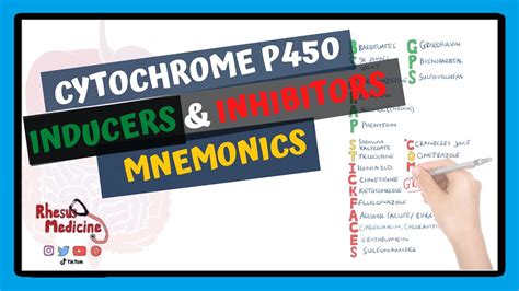 sickfaces.com group|Cytochrome P450 Inducers and Inhibitors Mnemonic and Table.